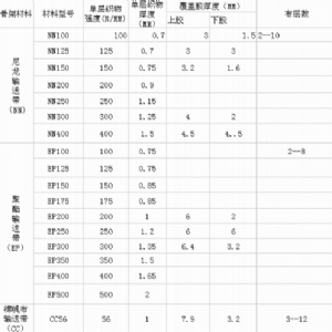 聚酯输送带